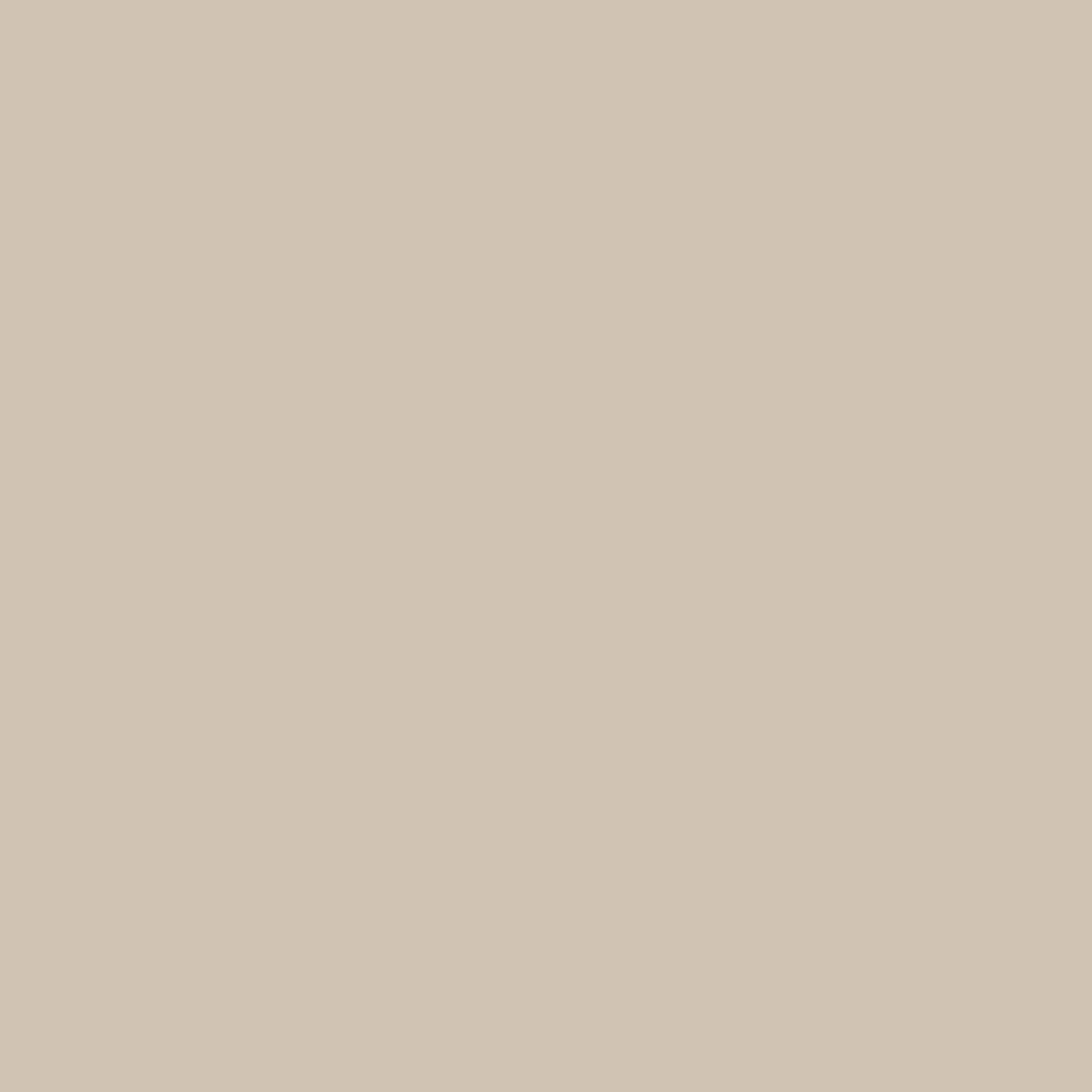 Pure Lime Invisible Thong 5 pack Thong 1830 Beige